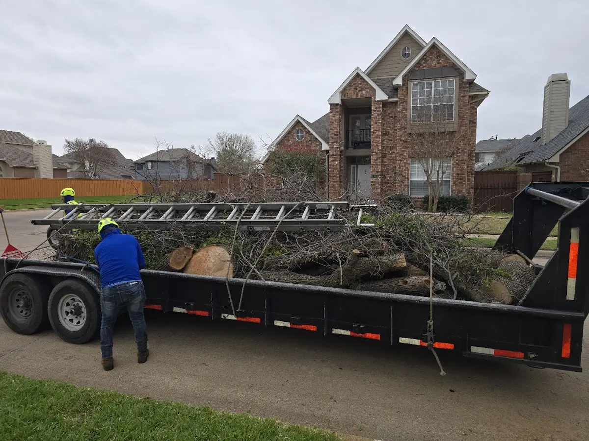 Expert Tree Removal with proper safety equipment in Brookville